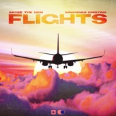 Flights artwork