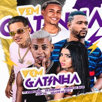 Vem Gatinha (Remix) [feat. Neguin da Base] - Single - Vt Kebradeira, Mc Rd, Eo Robinho, Gelado No Beat & Lary MC