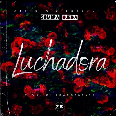 Luchadora (DGRNDZ Remix) - Single