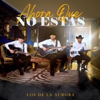 Ahora Que No Estas - Single - LOS DE LA AURORA