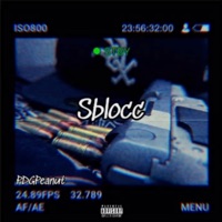Sblocc - Single - PDGPeanut
