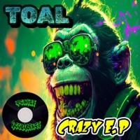 Crazy EP - TOAL