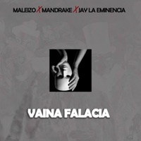 Vaina Falacia (feat. Mandrake el Malocorita & Jay La Eminencia) - Single - Maleizo