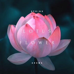 Lotus Flower - EP