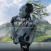 Places I Belong artwork