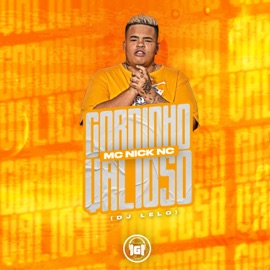Gordinho Valioso MC Nick NC & DJ Lelo