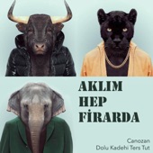 Aklım Hep Firarda artwork