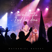 See What the Lord Has Done (Live) song art