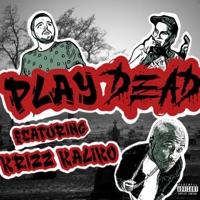 Disappear (feat. Krizz Kaliko) - Single - Playdead, Monstrom & SiNnakel