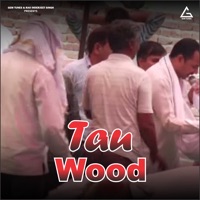 Uth Kyu Tale Padi Meri Naar - EP - Rajbala Bahadurgarh & Nardev Beniwal