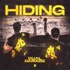 Hiding cover art