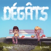 Dégâts artwork