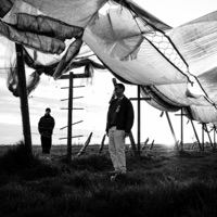 Träne im Mondlicht (feat. cuba creations) - Single - chrispydreamer