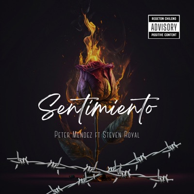 Sentimiento (feat. Steven Royal) - Single