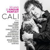 20 ans d'amour parfait - Cali Cover Art