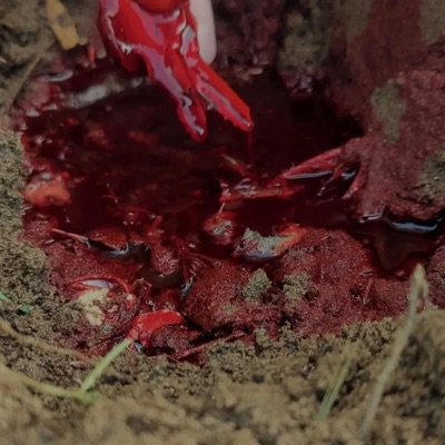 I Want Blood - Single