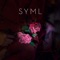 Who Put Blood in My Drink? - SYML & sagun lyrics