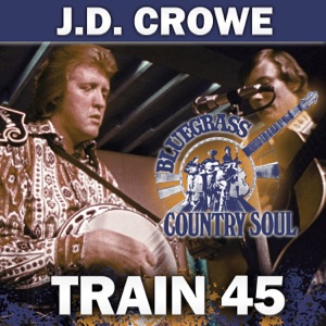 Train 45 - Single