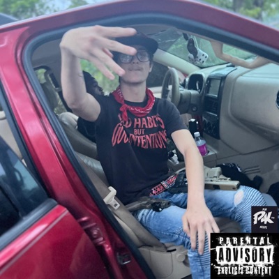 Pissed Me Off - Single