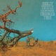 CROOKED TREE cover art