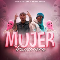 Mujer Traicionera - Single - LuisGael DM & Mudo Beats