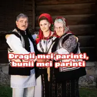 Nu Sta Masa-Ntr-Un Picior — Ancuta Corlatan
