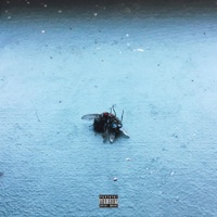 С лучами рассвета - Single - Крик цикад