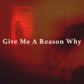 Give Me A Reason Why artwork