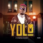 Yolo (Your Love) - Single