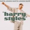 Harry Styles (DJ Edit) - Martin Jensen lyrics