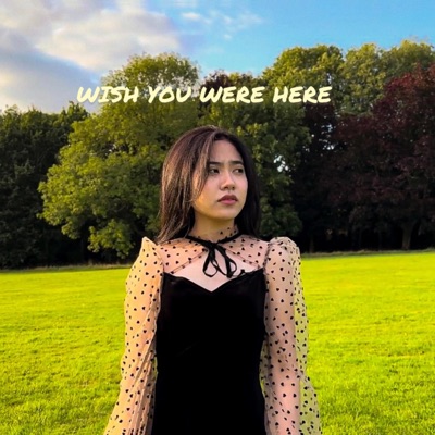 WISH YOU WERE HERE (feat. Criimson & Klaniju) - Single