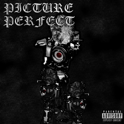 PICTURE PERFECT - Single