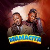 MamaCita (feat. Tola Vibe) - Single