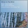 Mirror in the Wind - Single