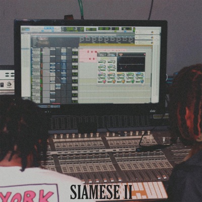 Siamese II: Real Deal