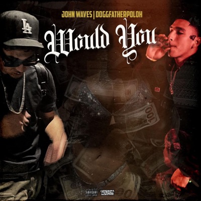 Would You (feat. DoggFatherPoloh) - Single