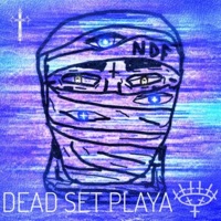 Deadsetplaya - Single - Nine Devines