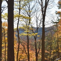 Memories - Single - Crank