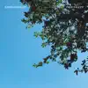 Fall