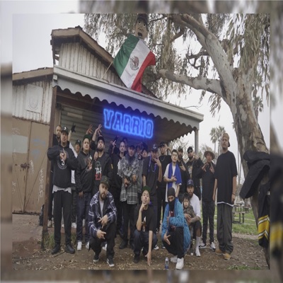 Varrio, Pt. 2 (feat. King Flavs, Mr 13, Raskal Loko, Dreamer OC, Tuber & Tijuana Activado) - Single