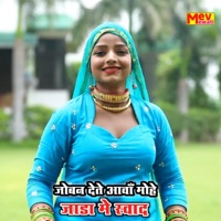 Joban Dete Aava Jada Me Swad (feat. Mev Mewati) - Single - SB Irfan Alwar