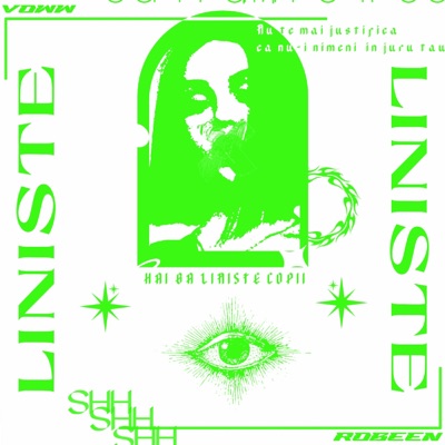 Liniste (feat. Voww) - Single