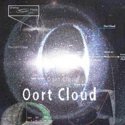 The Oort Cloud