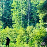 THE GREEN ALBUM - Eizlo