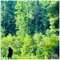Cold Mourning (feat. Trill Lee) - Eizlo lyrics