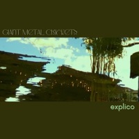 Explico - Giant Metal Crickets