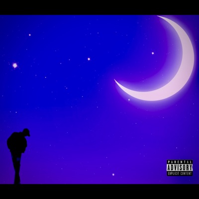 Midnight in Magnolia