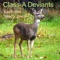 Swank (Schugar Remix) - Class-A Deviants lyrics