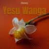 Yesu Wanga