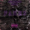 Fakes (feat. Ayilla) - Single